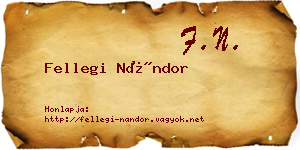Fellegi Nándor névjegykártya